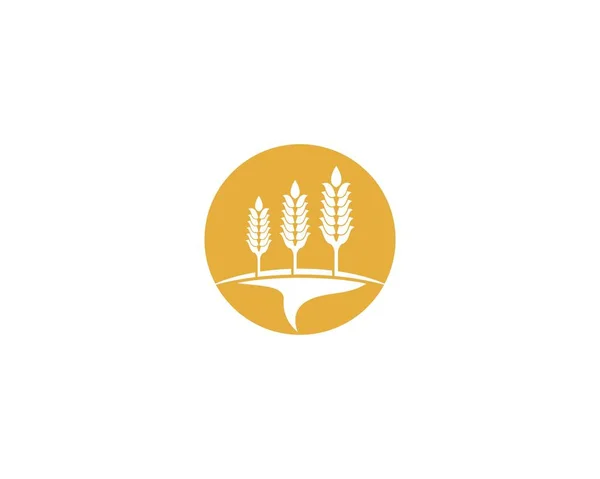 Agricultura Logotipo Trigo Modelo Vetor Ícone Design — Vetor de Stock