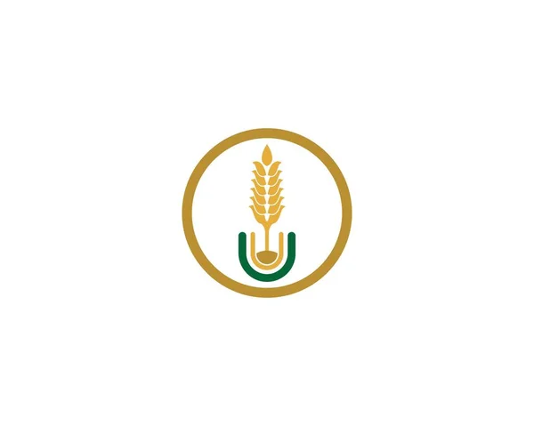 Agricultura Logotipo Trigo Modelo Vetor Ícone Design — Vetor de Stock