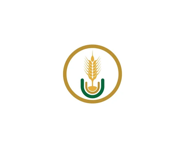 Agricultura Trigo Logotipo Plantilla Vector Icono Diseño — Archivo Imágenes Vectoriales