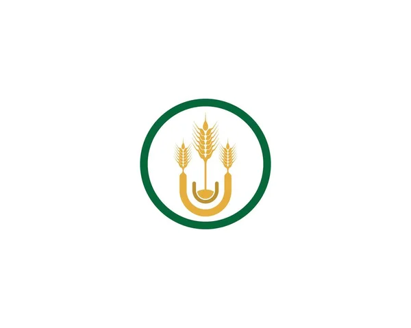 Tarım Buğday Logosu Vektör Ikonu Tasarımı — Stok Vektör