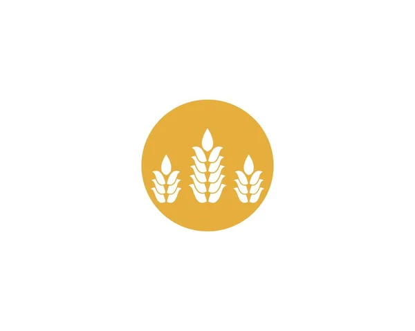Σχεδιασμός Εικονιδίου Φορέα Λογότυπου Γεωργικού Σιταριού — Διανυσματικό Αρχείο