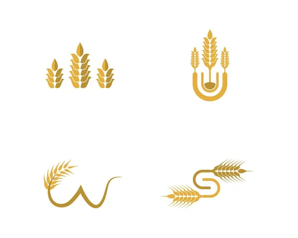 Agricultura Trigo Logotipo Plantilla Vector Icono Diseño — Archivo Imágenes Vectoriales