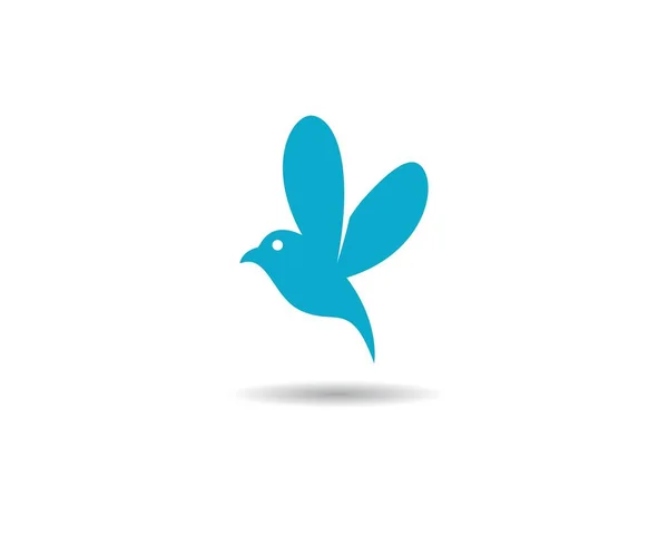 Modèle Logo Colibri Icône Vectorielle Illustration Design — Image vectorielle