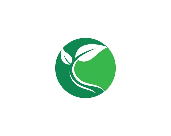 Leaf Logo Images Illustration Design — Stock Vector