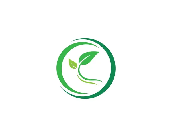 Leaf Logo Images Illustration Design — Stock Vector