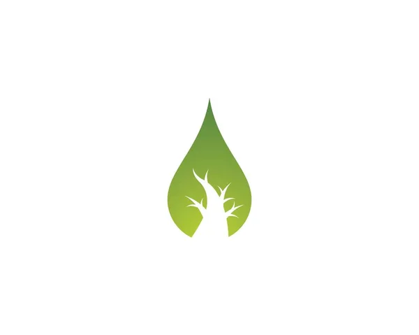 Modèle Logo Goutte Verte Icône Vectorielle Illustration Design — Image vectorielle
