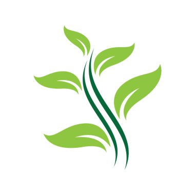 Yaprak logo resimleri çizimi tasarımı