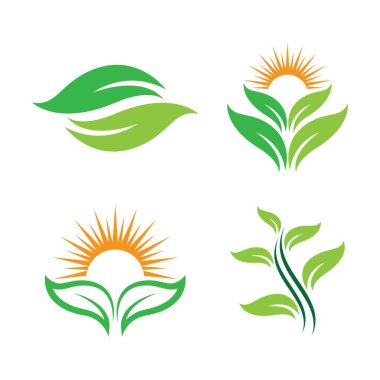 Yaprak logo resimleri çizimi tasarımı