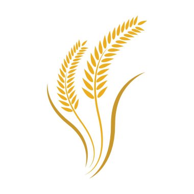 Buğday logosu resim çizimi tasarımı