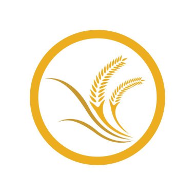 Buğday logosu resim çizimi tasarımı