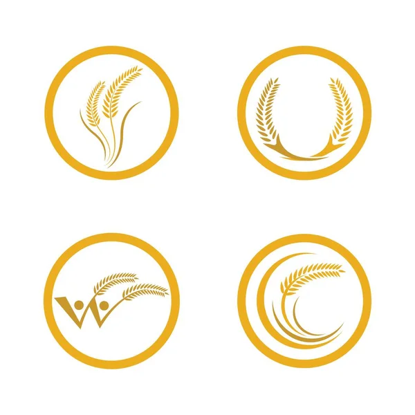 Buğday Logosu Resim Çizimi Tasarımı — Stok Vektör
