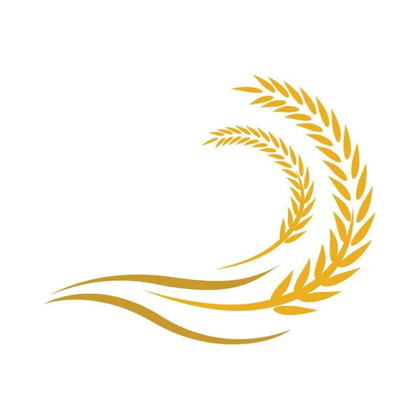 Buğday Logosu Resim Çizimi Tasarımı — Stok Vektör