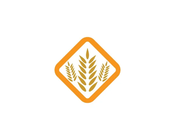 Agricultura Trigo Logotipo Plantilla Vector Icono Diseño — Archivo Imágenes Vectoriales