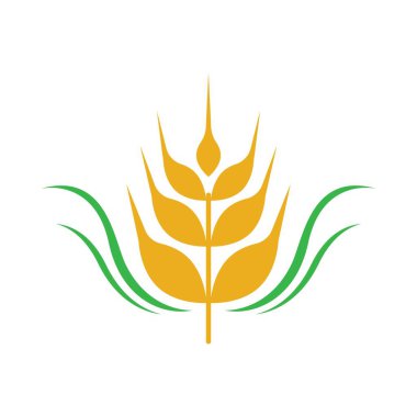 Buğday logosu resim çizimi tasarımı