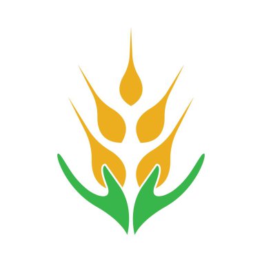 Buğday logosu resim çizimi tasarımı