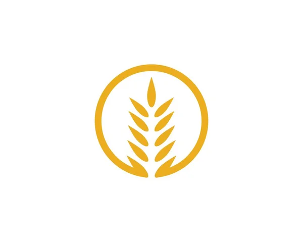 Дизайн Векторного Логотипа Сельскохозяйственной Пшеницы — стоковый вектор