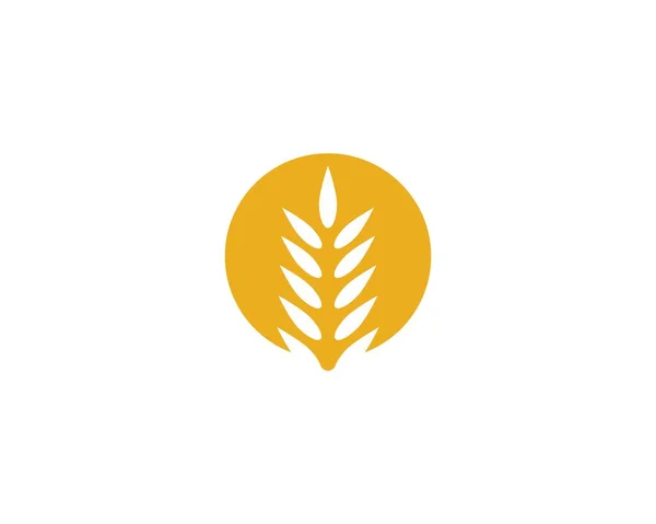 Agriculture Wheat Logo Template Vector Icon Design — Stock Vector