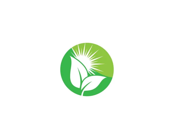 Logotipos Ecología Hoja Verde Naturaleza Elemento Vector Icono — Archivo Imágenes Vectoriales