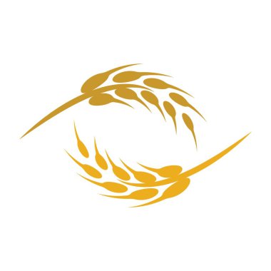Buğday logosu resim çizimi tasarımı