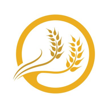 Buğday logosu resim çizimi tasarımı