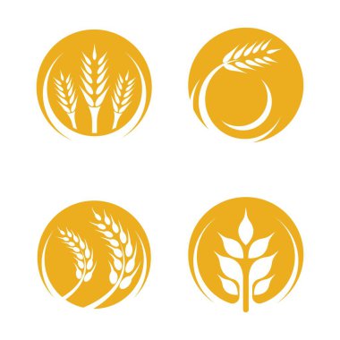Buğday logosu resim çizimi tasarımı