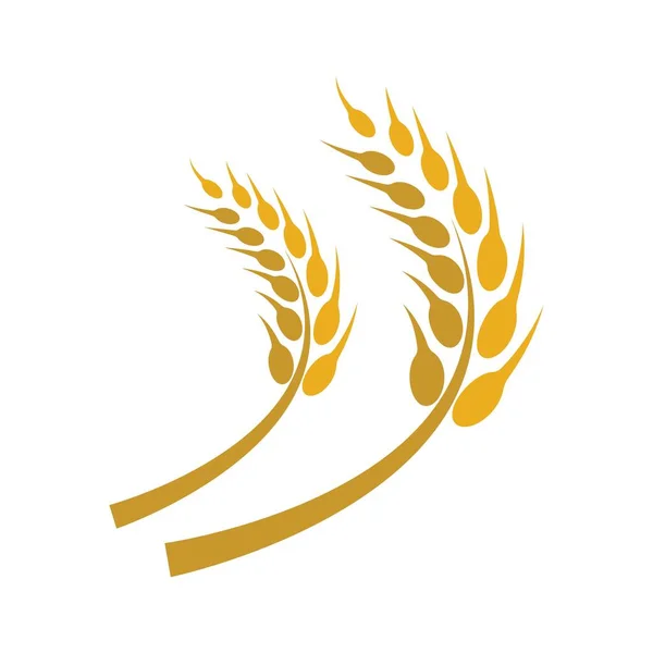 Дизайн Ілюстрації Зображень Логотипу Пшениці — стоковий вектор