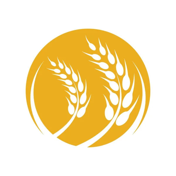 Logo Grano Immagini Illustrazione Design — Vettoriale Stock