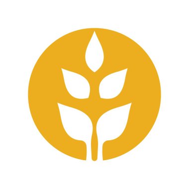 Buğday logosu resim çizimi tasarımı