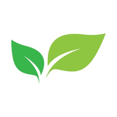 Yaprak logo resimleri çizimi tasarımı