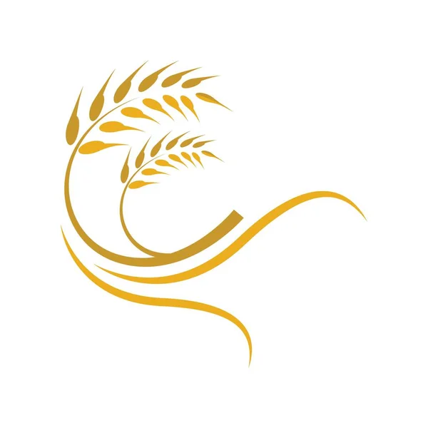 Logo Grano Immagini Illustrazione Design — Vettoriale Stock