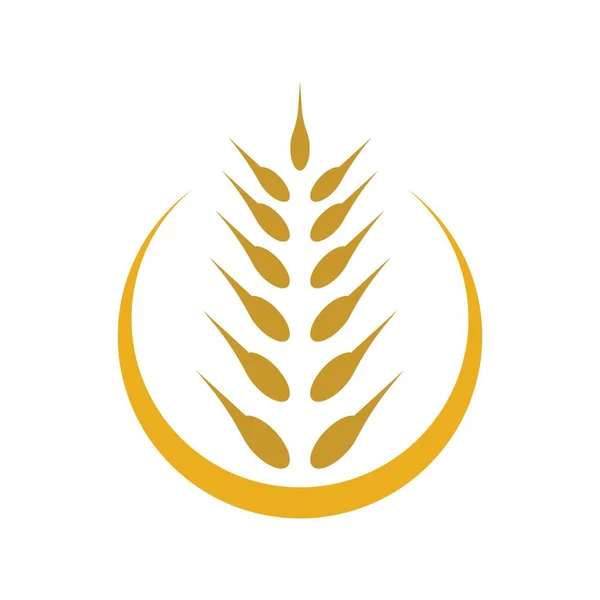 Wheat Logo Images Illustration Design — Stock Vector