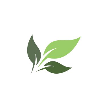 Yeşil yapraklı ekoloji doğa element ikonu logoları