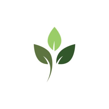 Yeşil yapraklı ekoloji doğa element ikonu logoları