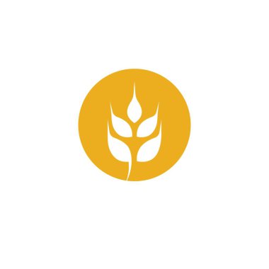 Tarım buğday logosu vektör ikonu tasarımı