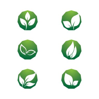 Yeşil yapraklı ekoloji doğa element ikonu logoları