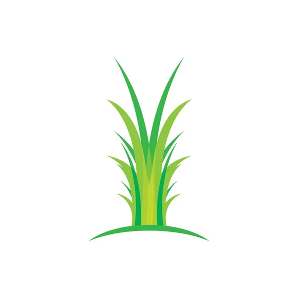 Grass Vector Illustration Design — Stock Vector