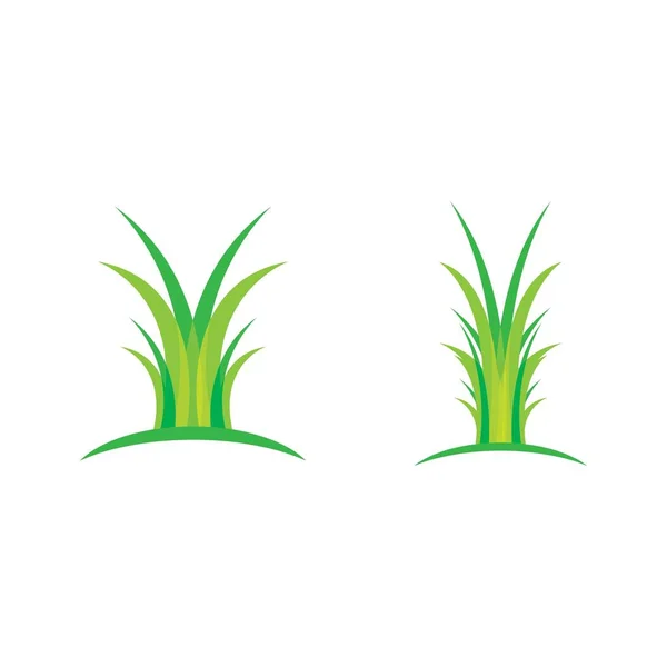 Illustration Vectorielle Herbe — Image vectorielle