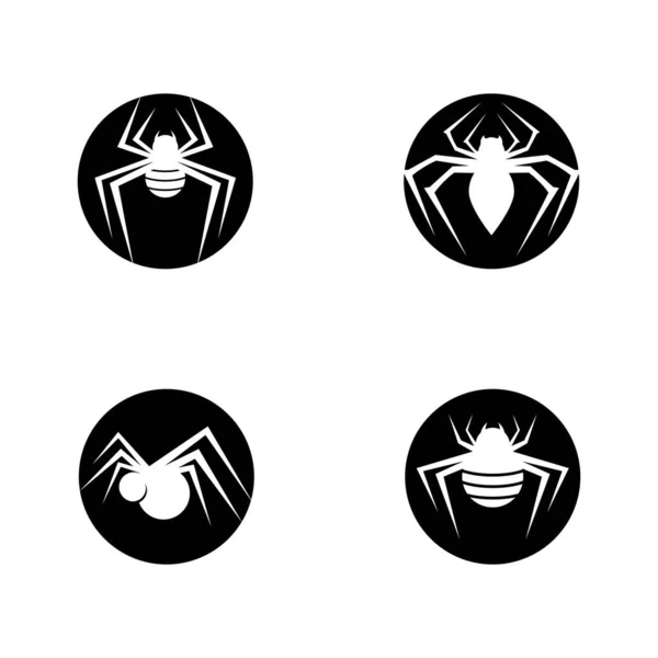 Diseño Ilustración Del Icono Del Logotipo Spider — Archivo Imágenes Vectoriales