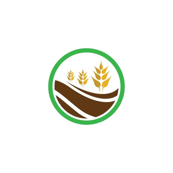 Agricultura Logotipo Trigo Modelo Vetor Ícone Design — Vetor de Stock