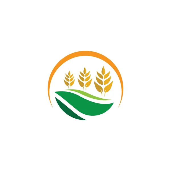 Modèle Logo Blé Agriculture Icône Vectorielle Design — Image vectorielle