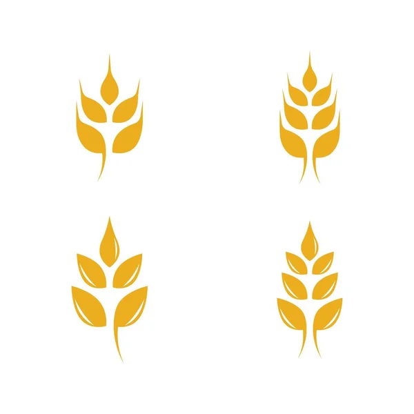Agricultura Logotipo Trigo Modelo Vetor Ícone Design —  Vetores de Stock