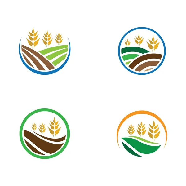 Agricultura Trigo Logotipo Plantilla Vector Icono Diseño — Archivo Imágenes Vectoriales