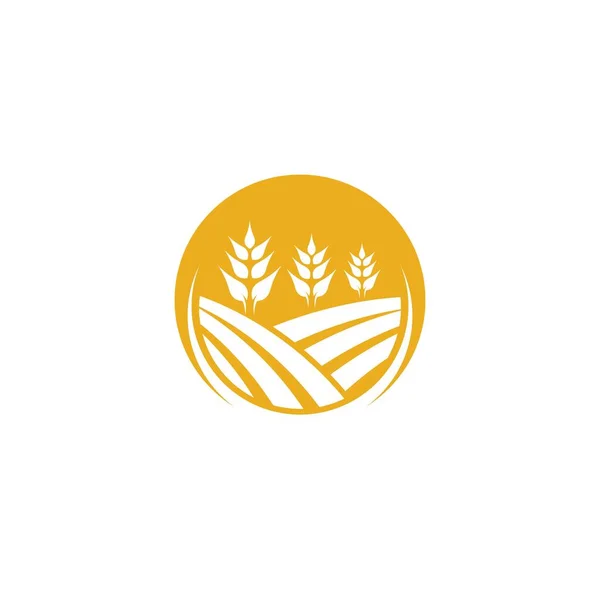 Agricultura Trigo Logotipo Plantilla Vector Icono Diseño — Archivo Imágenes Vectoriales