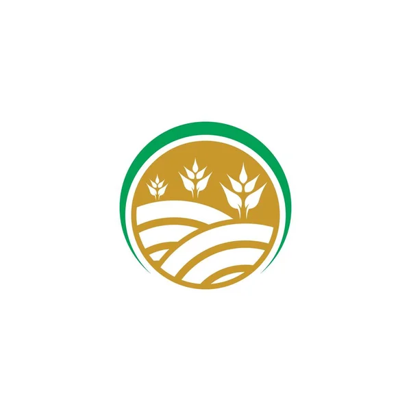 Agricultura Trigo Logotipo Plantilla Vector Icono Diseño — Vector de stock