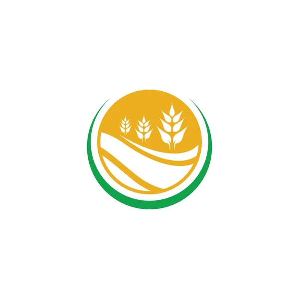 Agricultura Trigo Logotipo Plantilla Vector Icono Diseño — Archivo Imágenes Vectoriales