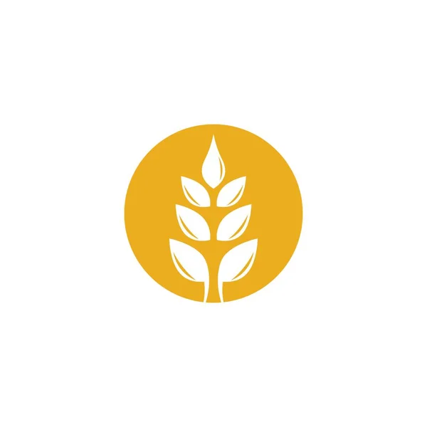 Agriculture Wheat Logo Template Vector Icon Design — Stock Vector