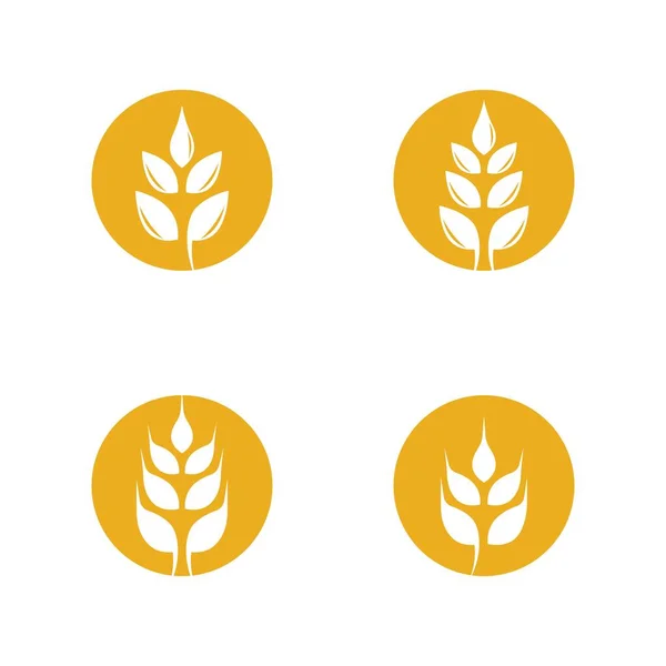 Agricultura Trigo Logotipo Plantilla Vector Icono Diseño — Archivo Imágenes Vectoriales