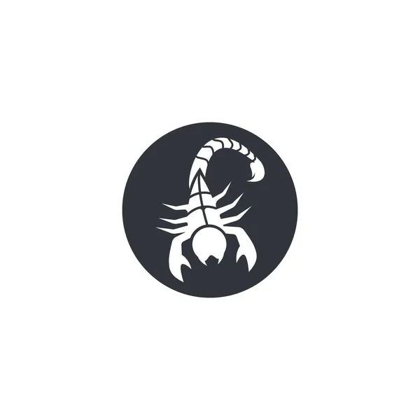 Skorpion Logotyp Mall Vektor Illustration — Stock vektor