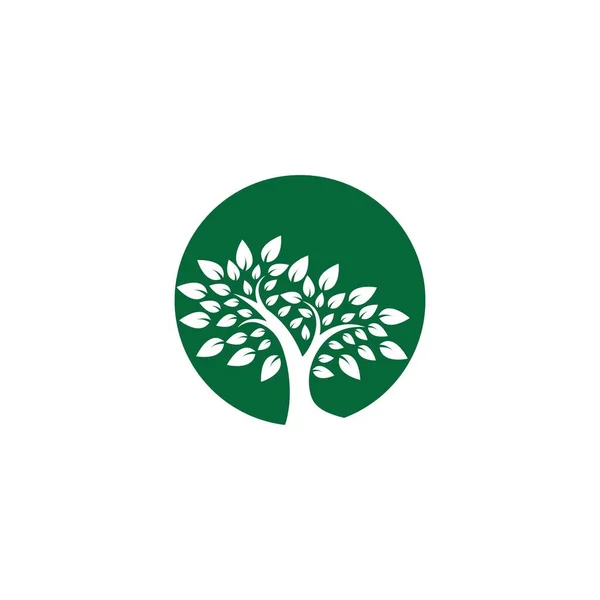 Árbol Logotipo Plantilla Vector Icono Ilustración Diseño — Archivo Imágenes Vectoriales