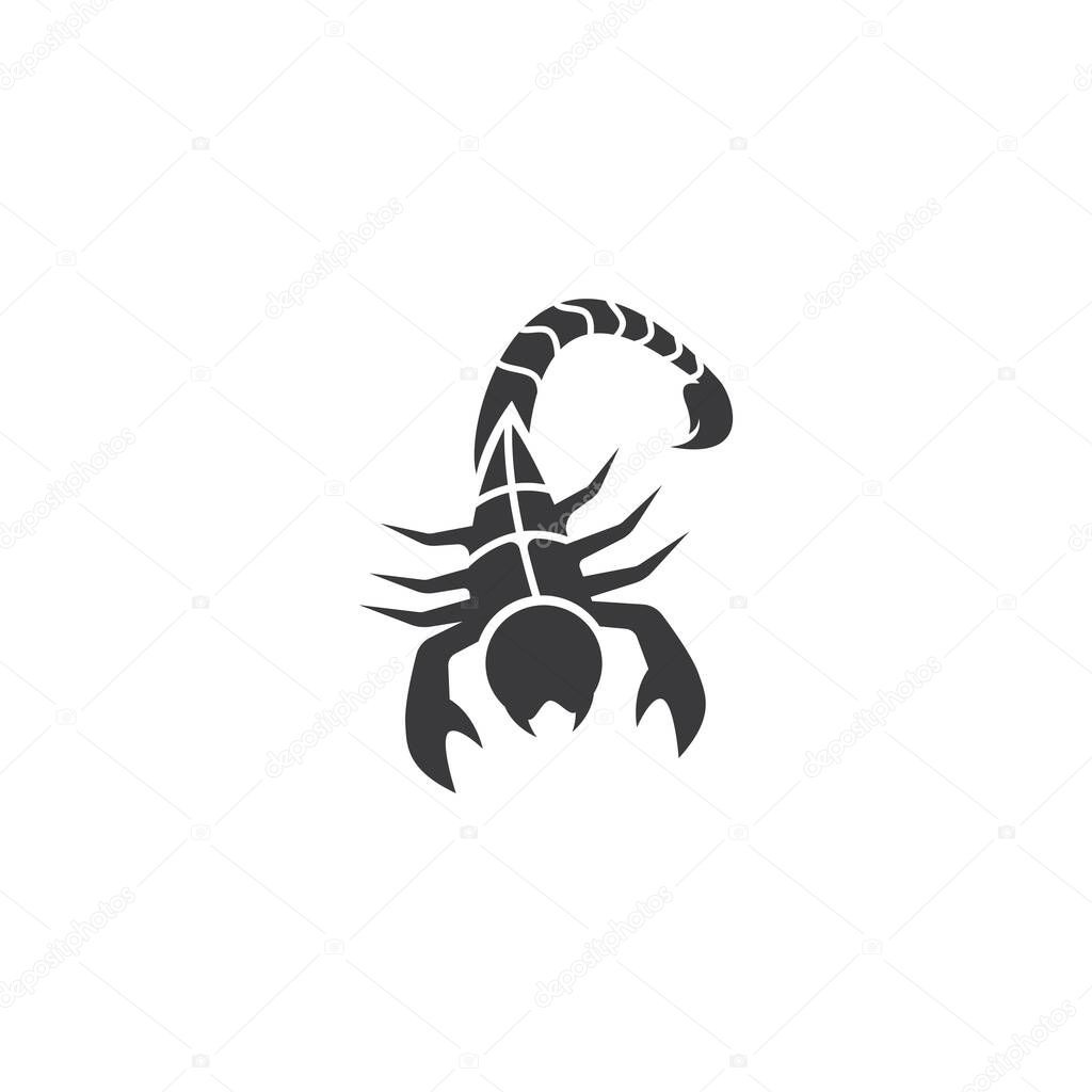 Scorpion logo template vector illustration